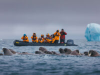 Three Arctic Islands