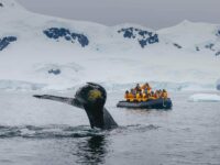 QuarkExpeditions__21A4567_DavidMerron