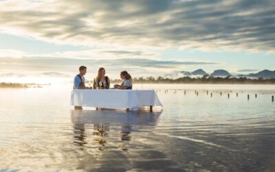 Saffire_Freycinet_Oyster-Shucking