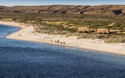 Sal-Salis_Ningaloo-Reef_Aerial-Heli-Flight