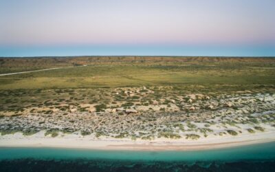 Sal-Salis_Ningaloo-Reef_Aerial-Tents-Coastline