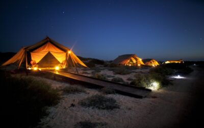 Sal-Salis_Ningaloo-Reef_By-Night