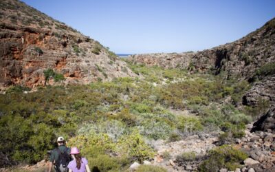 Sal-Salis_Ningaloo-Reef_Gorge-Walks