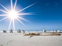 Falkland Islands - South Georgia - Antarctica