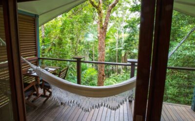 Silky-Oaks-Lodge_The-Daintree_Hammock-Verandah