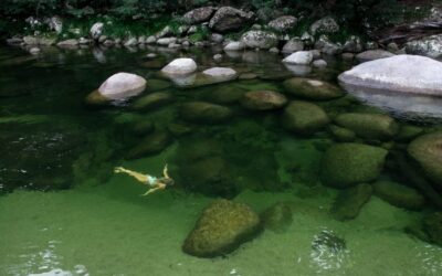 Silky-Oaks-Lodge_The-Daintree_Mossman-Gorge-Swim