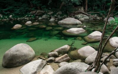 Silky-Oaks-Lodge_The-Daintree_Mossman-Gorge