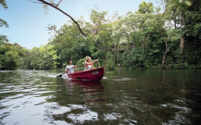 Silky-Oaks-Lodge_The-Daintree_Rainforest-Kayak