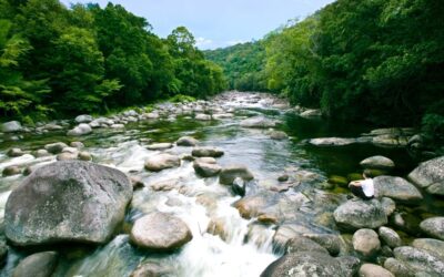 Silky-Oaks-Lodge_The-Daintree_River