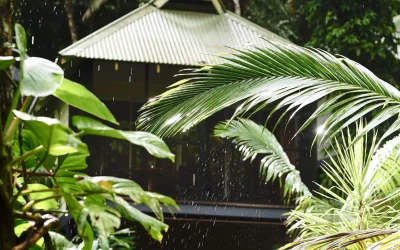 Simon Shiff Photography_Daintree Ecolodge_Exteriors (1)