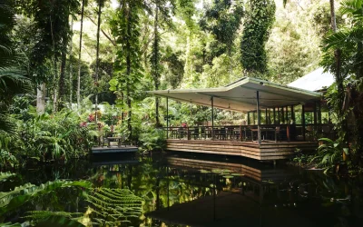 Simon Shiff Photography_Daintree Ecolodge_Julaymba