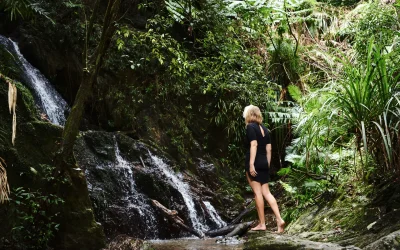 Simon Shiff Photography_Daintree Ecolodge_Lifestyle_Waterfall