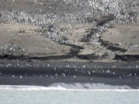 South Sandwich Islands_Jan Belgers