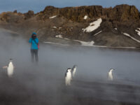 South Shetland Islands_Rolf Stange