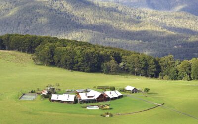 Spicers Peak Lodge