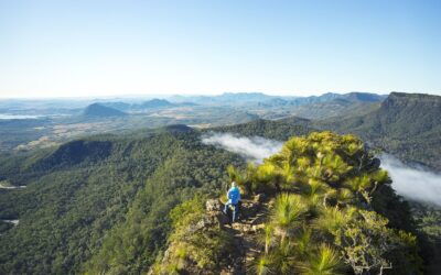 Spicers-Peak-Lodge_Scenic-Rim_Bushwalk