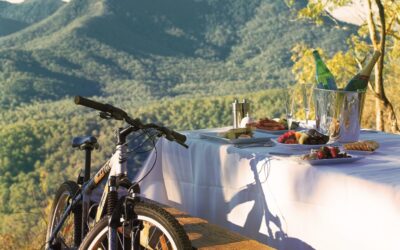 Spicers-Peak-Lodge_Scenic-Rim_Picnic-Mountainbike-Highres