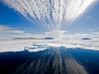 Spitsbergen, Pack ice, July © Franco Banfi-Oceanwide Expeditions (2).jpg_Franco Banfi