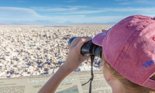 The Salar de Atacama