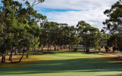 Tanunda Pines Golf Club