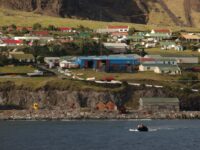 Tristan da Cunha, Atlantic Odyssey © Hadoram Shirihai-Oceanwide Expeditions (1).JPG_Hadoram Shirihai