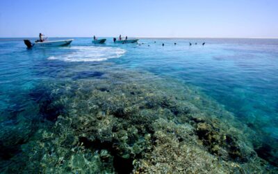 True-North_The-Kimberley_Snorkelling