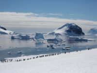 Antarctica - Discovery and learning voyage