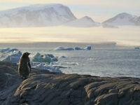 View to Erebus & Terror Gulf © Regis Perdriat - Oceanwide Expeditions (1).jpg_Regis Perdriat
