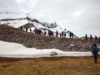 Arctic Ocean - Fair Isle, Jan Mayen, Ice edge, Spitsbergen, Birding