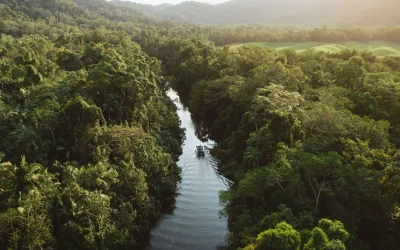 Wilson Archer Photography Daintree River (1)