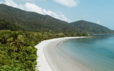 Wilson Archer Photography Daintree_Cape Tribulation