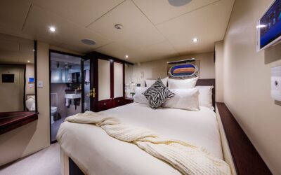 YOTSPACE - Superyacht Expeditions - Corroboree - Port Aft