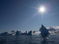 Yalour Islands icebergs © Sara Jenner - Oceanwide Expeditions (1).jpg_Sara Jenner