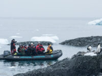 Zodiac cruise, Kinnes Cove © Arjen Drost, Natureview - Oceanwide Expeditions.jpg_Arjen Drost