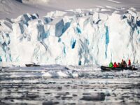 Zodiac cruising and lounging Antarctic wildlife © Dietmar Denger-Oceanwide Expeditions.jpg_Dietmar Denger