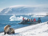 Zodiac landing on Brown Bluff, welcomed by a Fur seal © Dietmar Denger - Oceanwide Expeditions.jpg_Dietmar Denger