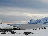 antarctica_polar circle_detaille island © jamie scherbeijn-oceanwide expeditions (35).JPG_Jamie Scherbeijn