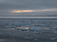 pack ice_Franz-Josef Denig