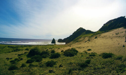 Hiking Through Tricolor Chiloe